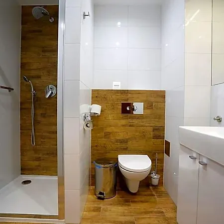 Отель Stary Mlyn 3*